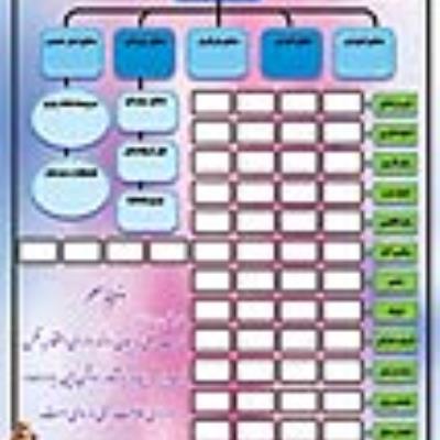 چارت سازمانی
