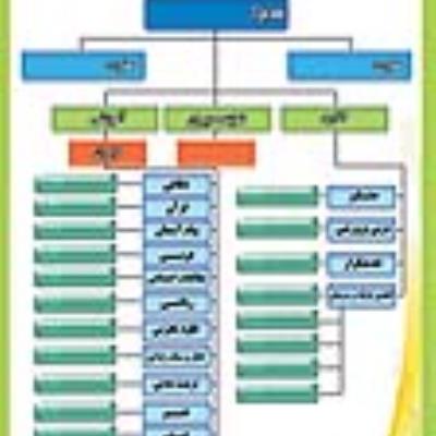 چارت سازمانی